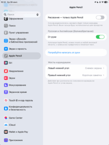 Раздел Apple Pencil в настройках iPad