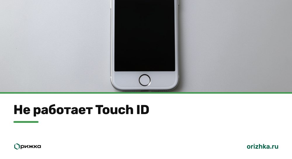 iPhone с кнопкой «Домой» и сканером отпечатка